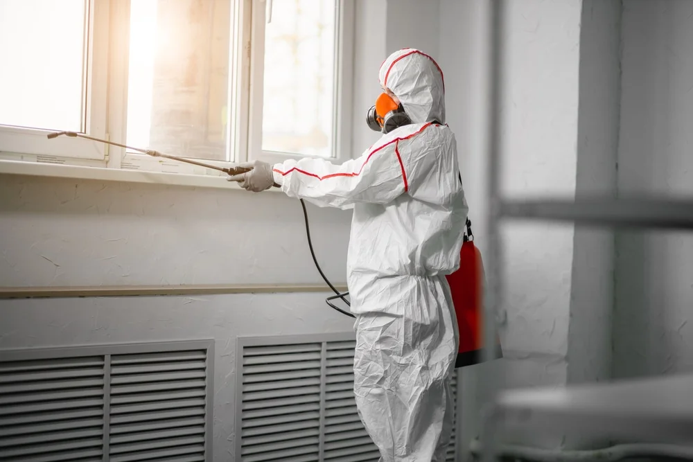 Professional mold remediation services in Richmond, MO